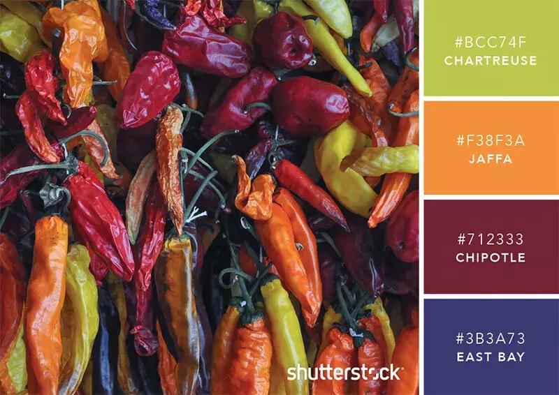 相见恨晚的色彩搭配,两种好看的颜色搭配