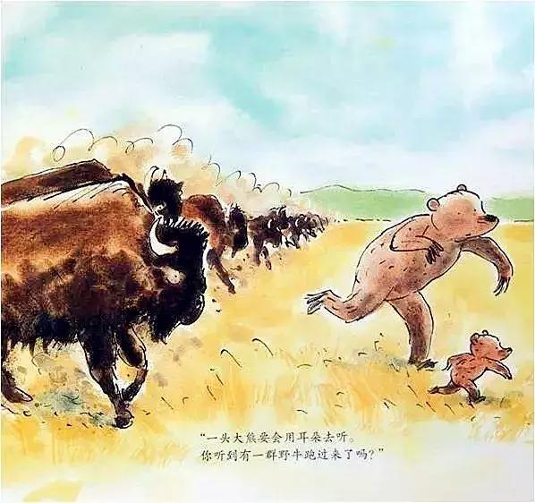 小熊和最好的爸爸长大了读后感,小熊和最好的爸爸一起长大了