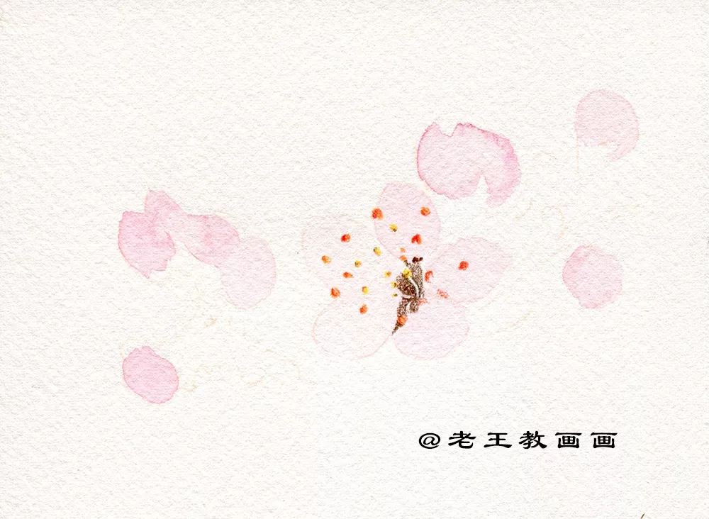 桃花桃树用彩铅怎么画,三年级简单画桃花彩铅