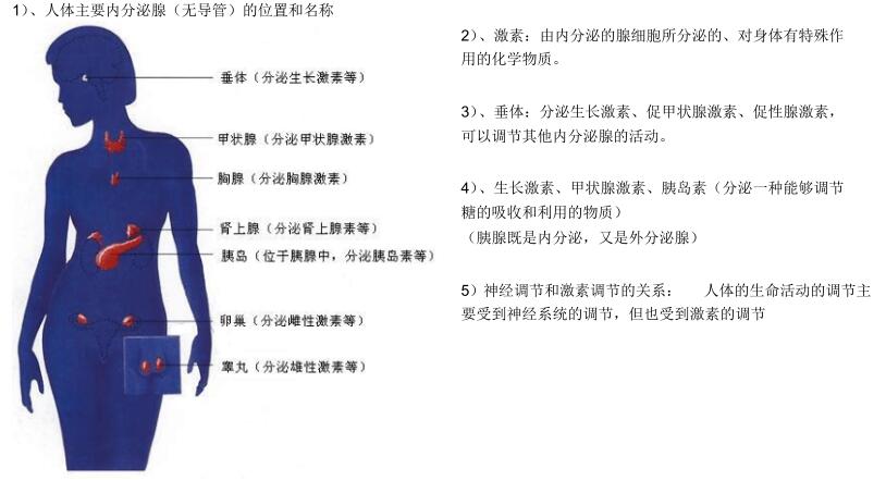 北师大版生物中考必背知识点,苏教版生物中考知识点总结填空版