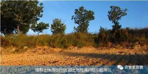 口粮田确权给父母后土地是谁的,口粮田确权给子女还能要回吗