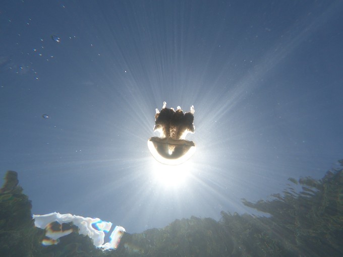 帕劳的海景风光给人美的享受,帕劳的海洋和沙滩风景图片