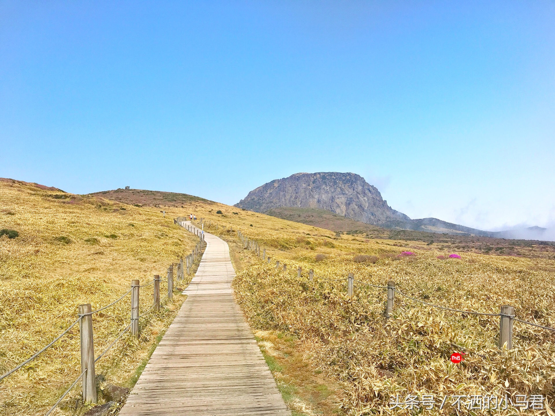济州岛自由行包车旅游攻略图,济州岛自驾租车攻略