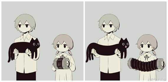 猫既是流体又是固体,猫是一种液体生物