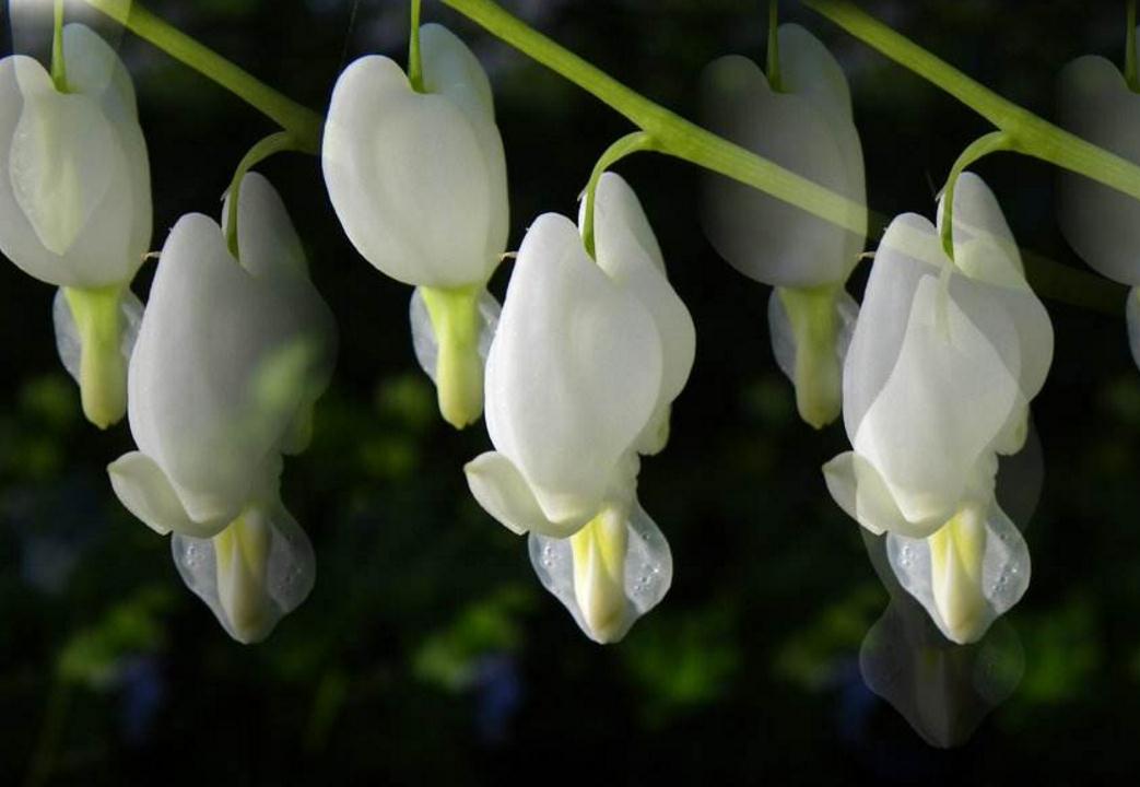 做人要有随遇而安的心态,做人进退有度随遇而安