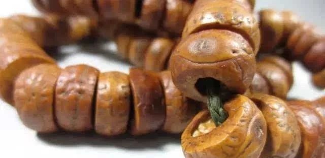 什么是凤眼菩提短桩,什么是凤眼菩提漏眼