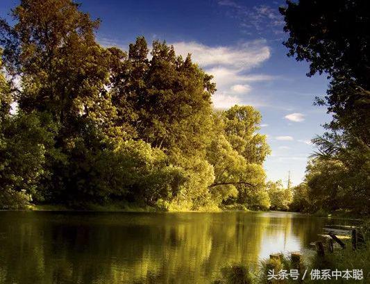 周杰伦夜曲和肖邦夜曲有什么区别,周杰伦为你弹奏肖邦的夜曲