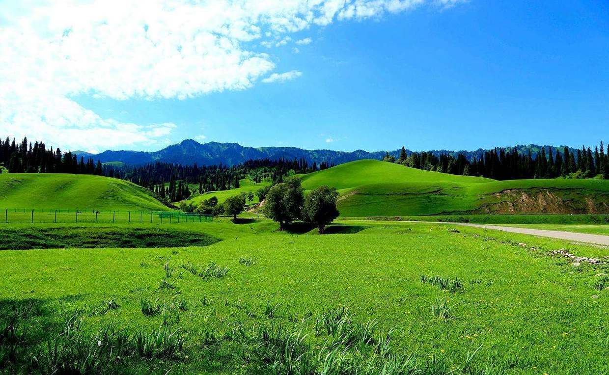 游玩那拉提草原需要多久,游玩那拉提草原后的感受