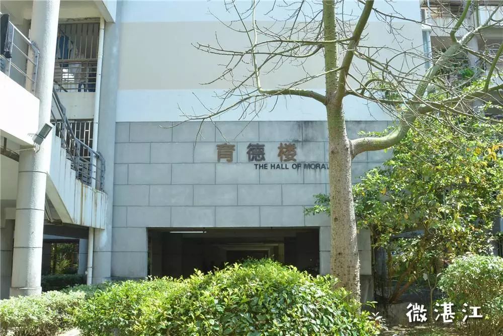 谢谢你二年级,谢谢你雷州话