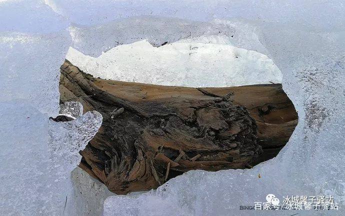 漠河北极村开江,去漠河看极光去甘孜看贡嘎雪山