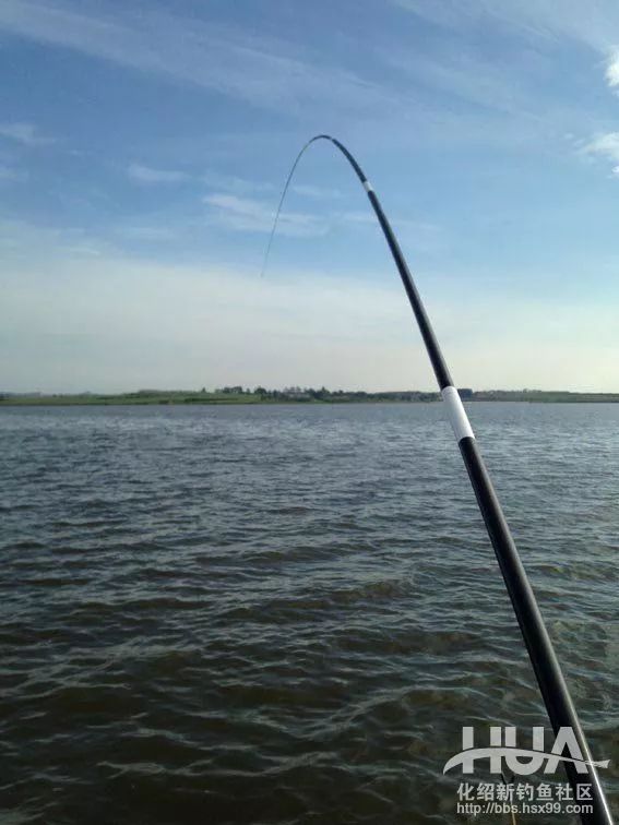 大风天水库钓鲫鱼,大风天在水库野钓视频