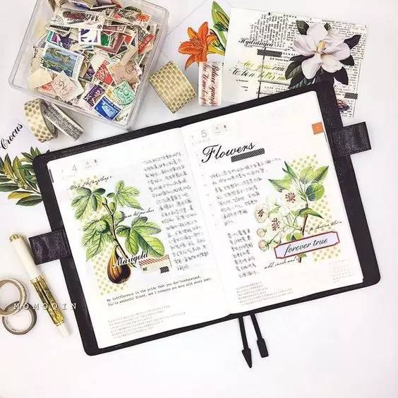 有了这些画画教程，这一年都不用买资料了