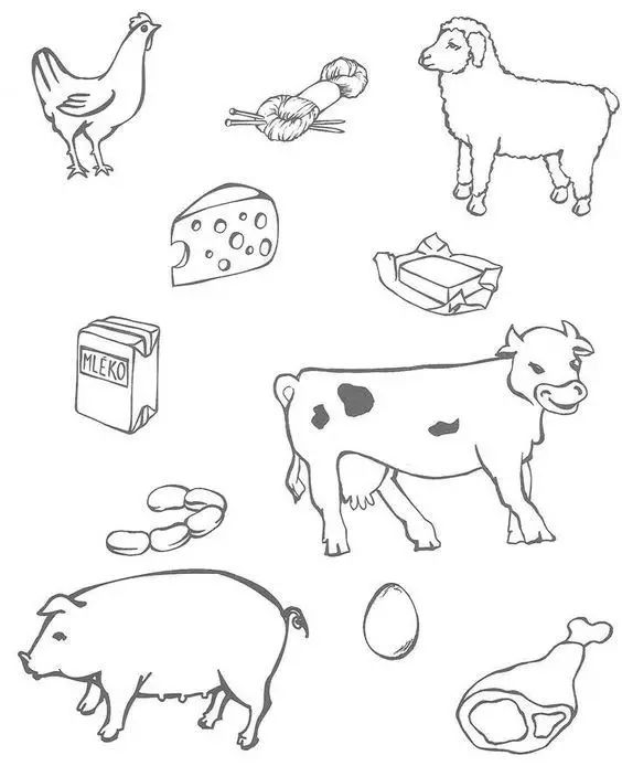 有了画画模板该怎么画,新手比较适合的画画教程