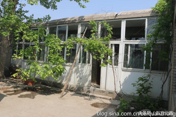 我在“浩顺2号院”的家成了“动植物园”啦