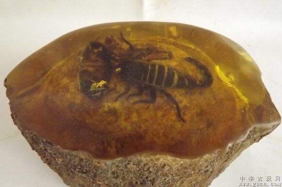 琥珀蜜蜡的真假鉴别的方法有哪些,鉴别琥珀蜜蜡靠谱的方法有哪些