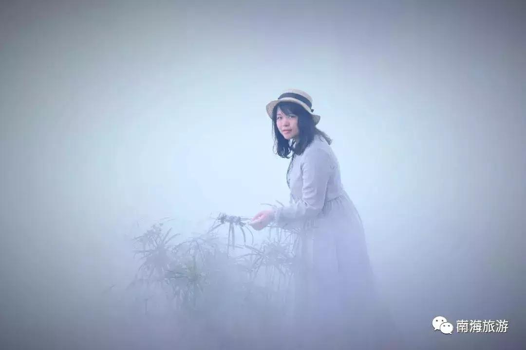 紫色薰衣草海洋,薰衣草花海摩天轮