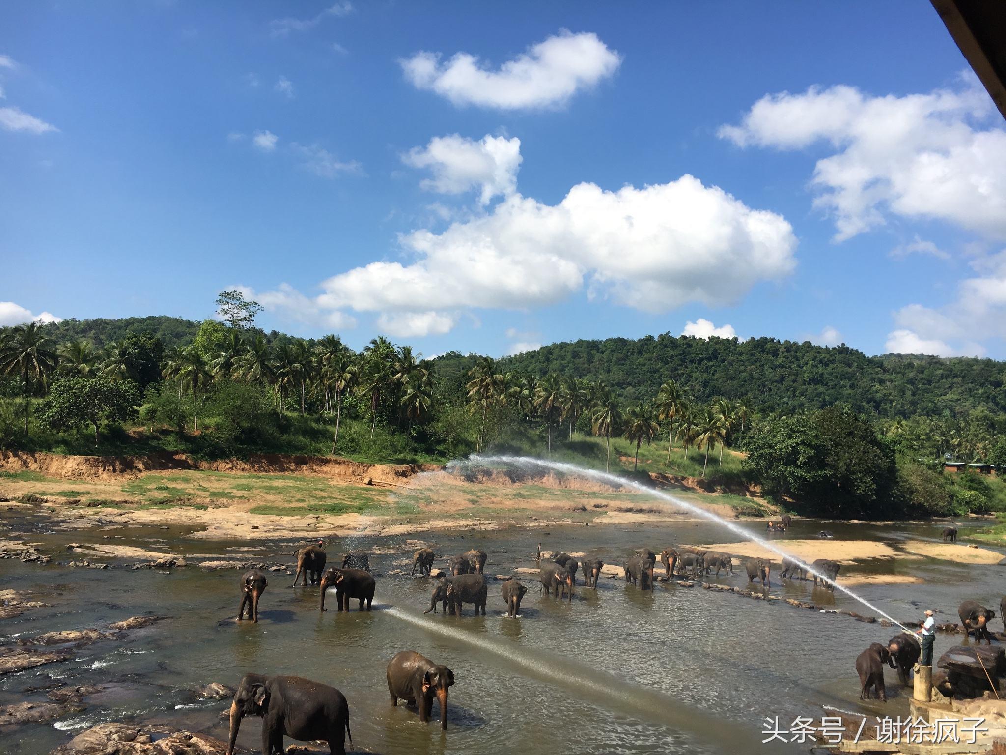 斯里兰卡的一元钱,斯里兰卡100元等于多少人民币