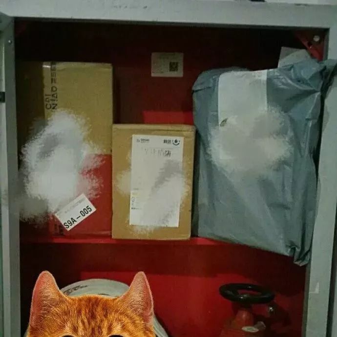 快递没时间接让快递员放在哪里,没人接电话快递员会把快递放在哪