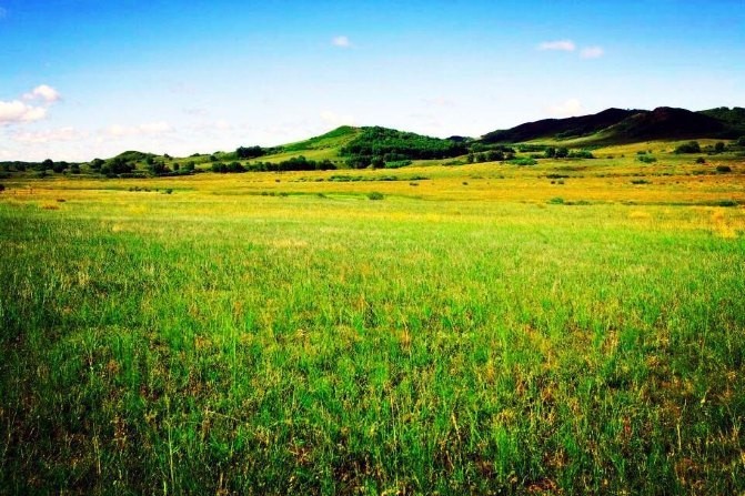 浪漫呼伦贝尔双飞五日游,呼伦贝尔5月精彩7日之旅
