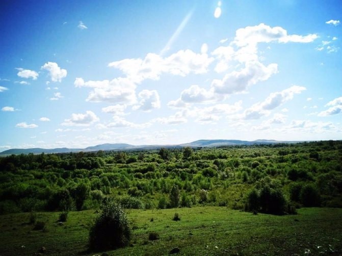 浪漫呼伦贝尔双飞五日游,呼伦贝尔5月精彩7日之旅