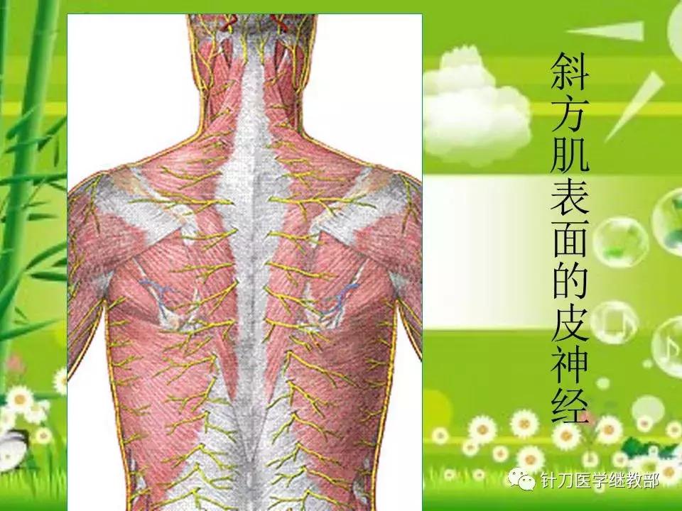 颈椎肌肉损伤用小针刀治疗,针刀治疗颈椎导致神经损伤