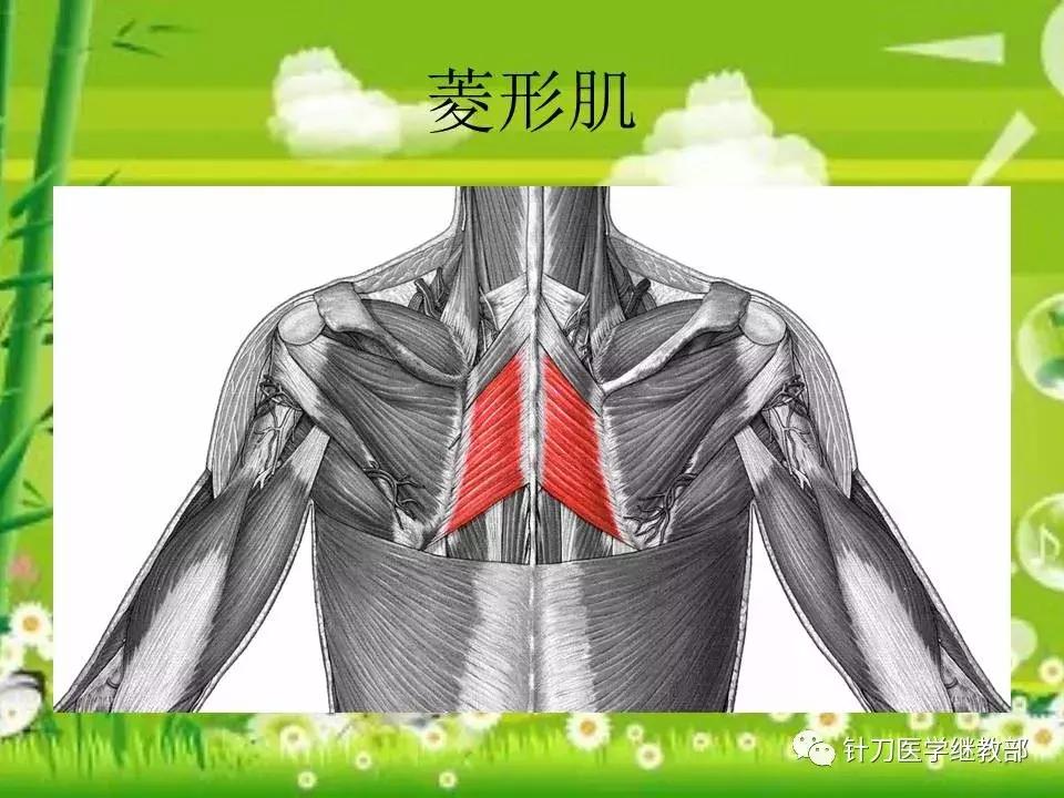 颈椎肌肉损伤用小针刀治疗,针刀治疗颈椎导致神经损伤