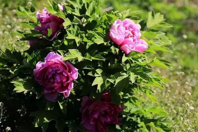 西安小众旅游,西安小众避暑胜地