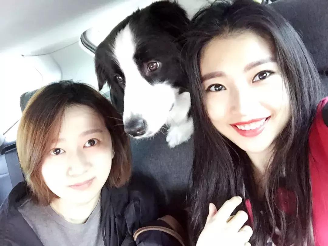 不爱回家探店,北京网红花店有哪些