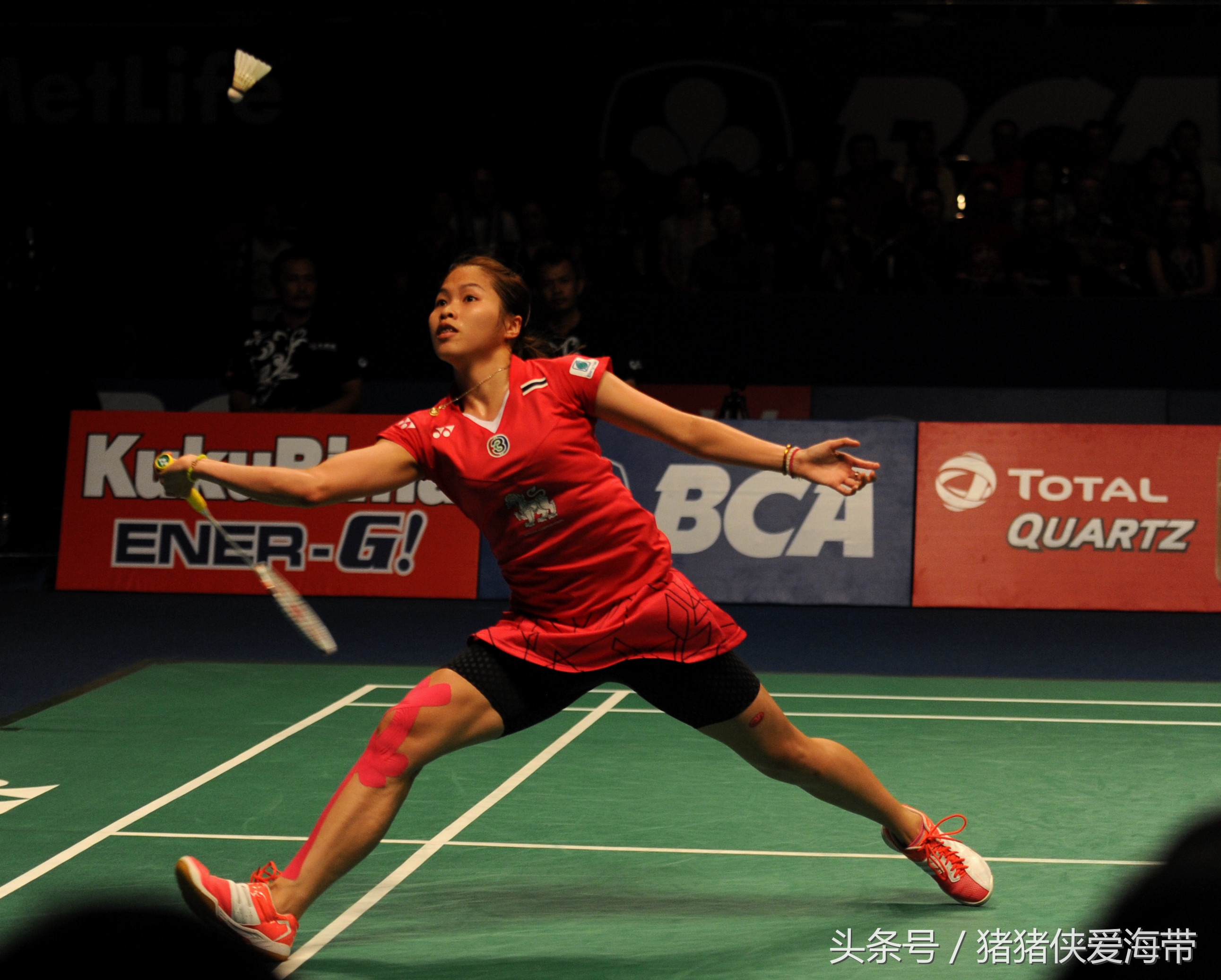 怎样选择一种羽毛球球拍最终指南,新手选乒乓球拍直拍好还是横拍好