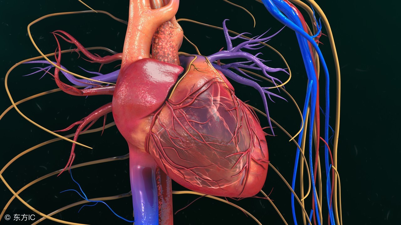 隐性冠心病的类型与表现、发作时的治疗与保健
