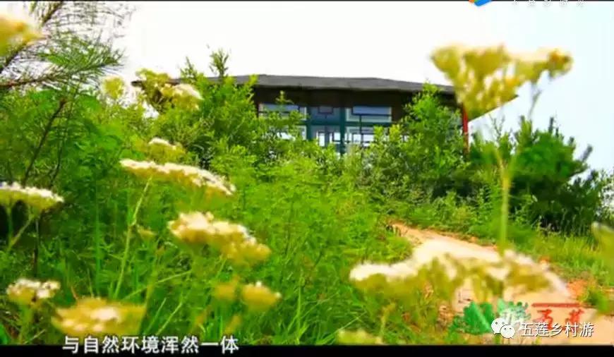 五月来西双版纳,适合五月旅行民宿