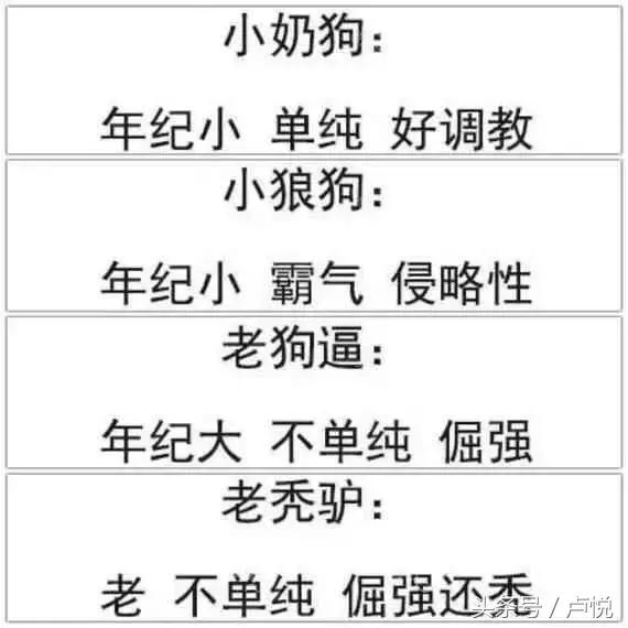 高圆圆与李冰冰吻戏,李冰冰高圆圆豆瓣