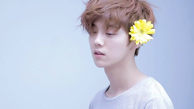 喜欢鹿晗的都是些什么人,喜欢鹿晗的原因