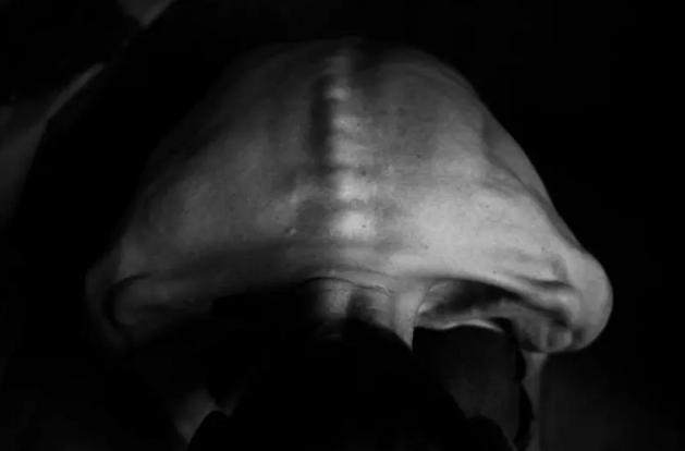 让亲身经历过*洛因海**和*毒冰**的人,告诉你*品毒**是不是真的很难戒