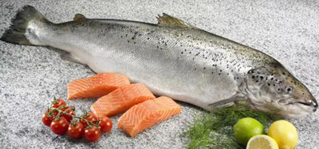 把鱼翅当宝，还花大钱买的人要注意了，小心汞中毒