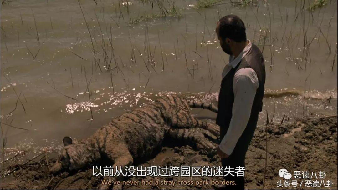 梅芙和德洛丽丝,梅芙与德洛丽丝