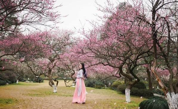 算桃花运的方法,算命的说桃花运话术