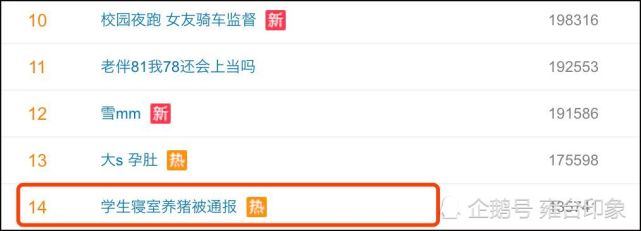 寝室可以养宠物吗,学校寝室养宠物违法吗