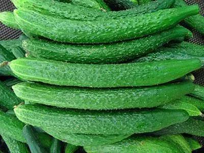 想赚钱的看过来图片,想发家致富的看过来