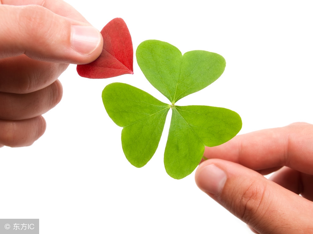 患了强迫症怎么办呢,患了强迫症怎么办