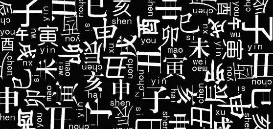 属虎的人和哪些属相可以合作共事,1971年的金猪适合和什么属相合作