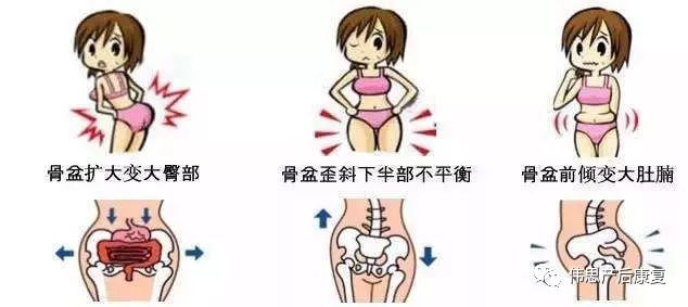 产后各种臀型,产后屁股大瘦