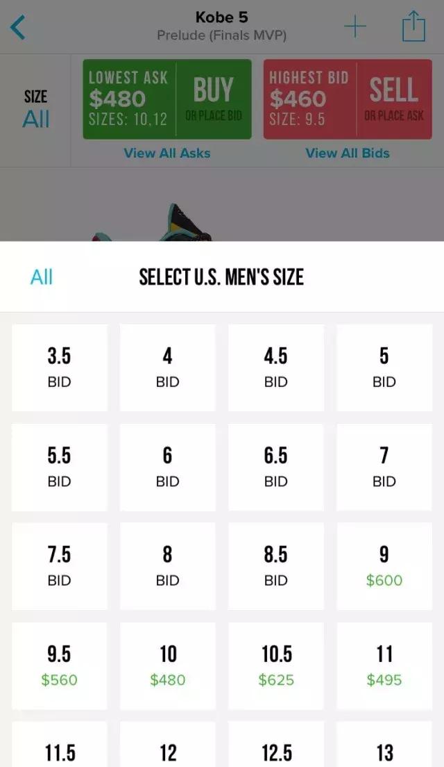 国外月亮哪个品种好,国外月亮