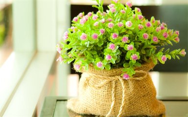 做为一个有女朋友又对你无感的男人，自然要对你敬而远之