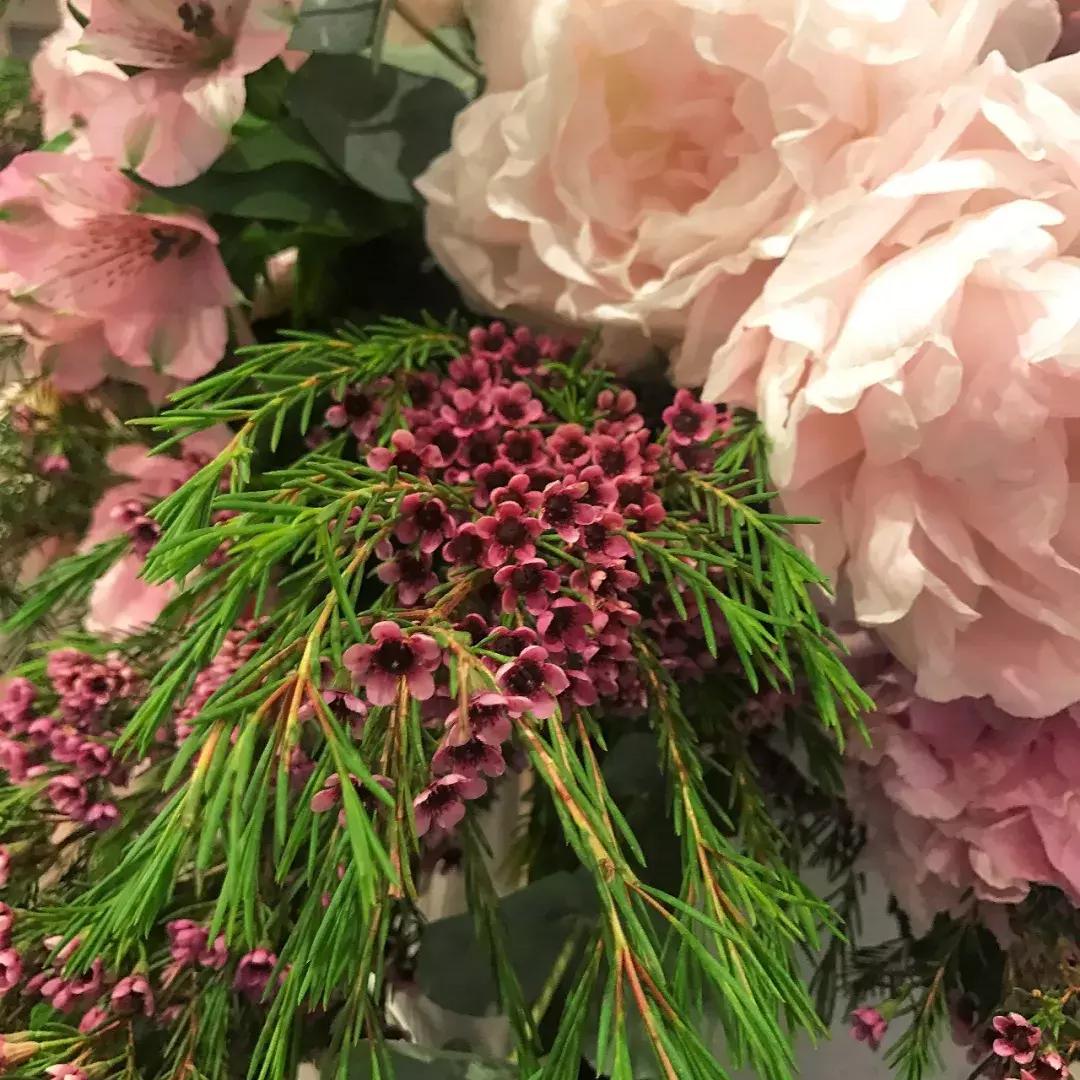 王丽坤和李晨的吻戏,戛纳红毯王丽坤