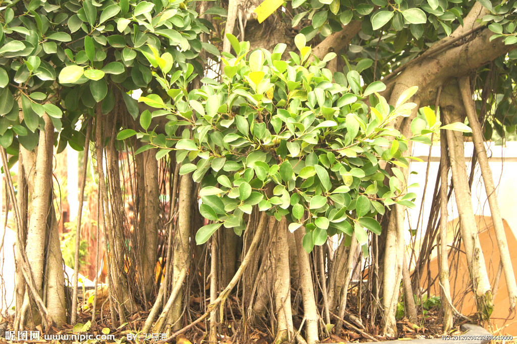 福建连江美丽乡村,福建连江文明县