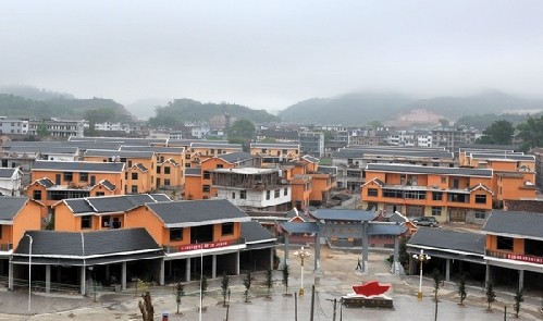 江西宁都小布茶,宁都县小布乡茶叶基地