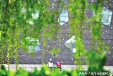 宁静致远散文800字,宁静安详经典散文