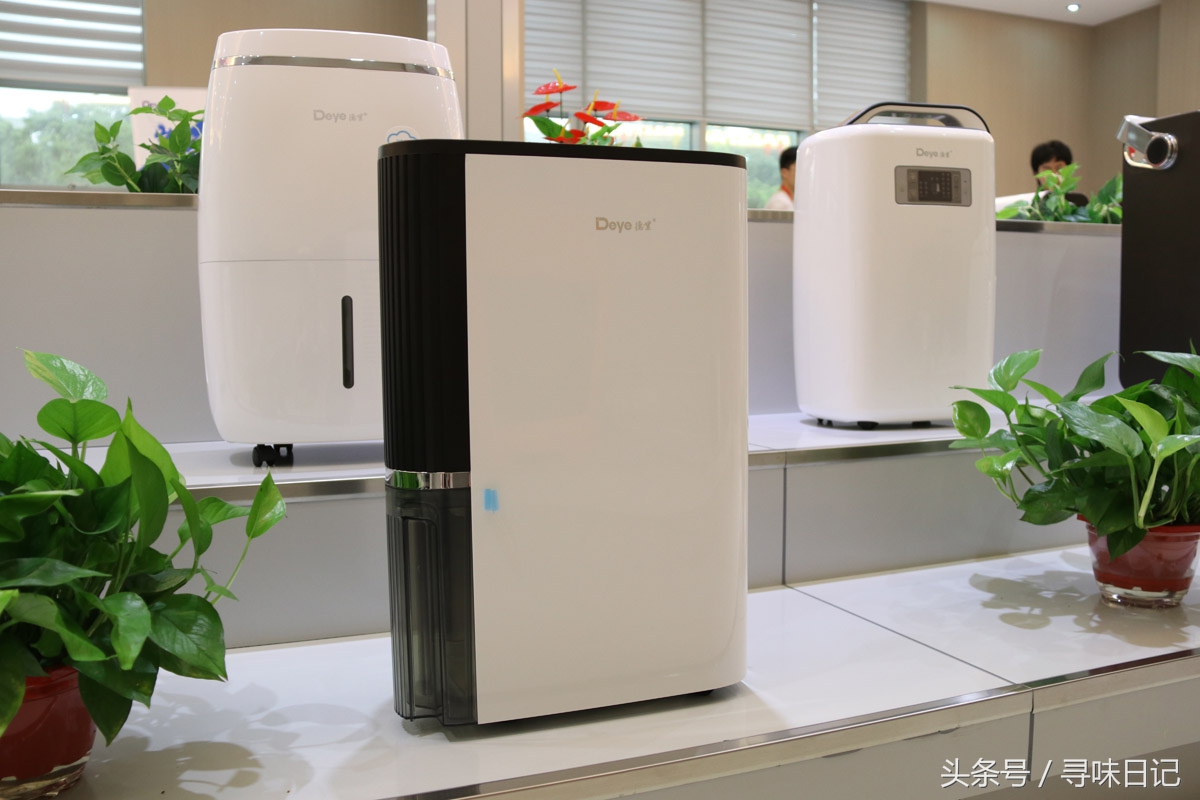 梅雨季节墙壁发霉怎么预防,梅雨季节房间怎么祛湿