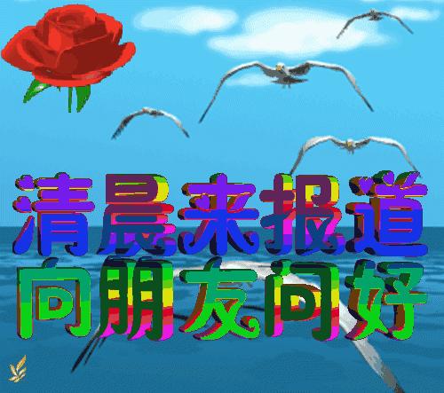 早安鲜花美图图文,最新鲜花早安动态图片